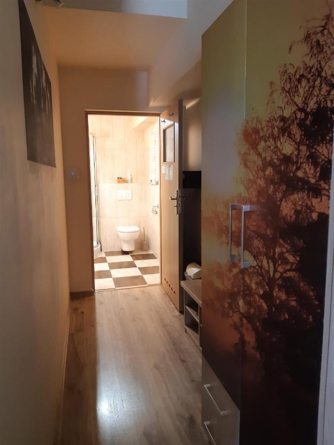 Pokoje Za Kinem Duszniki Zdrój Exterior foto